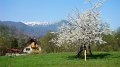 DSC05700