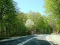 DSC05917