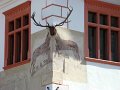 DSC05975