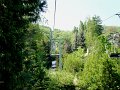 DSC06381