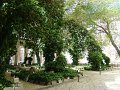 DSC06496
