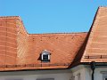 DSC06654