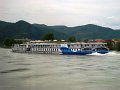 DSC07004