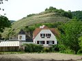 DSC07143