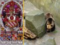 CK35