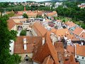 DSC07484
