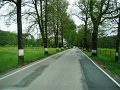 DSC07517