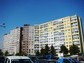 DSC07701