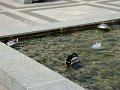 DSC07860