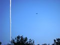 DSC08730