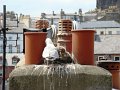 DSC09671