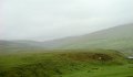 DSC09710