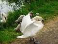 DSC00208