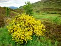 DSC00396