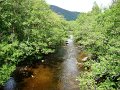 DSC00401