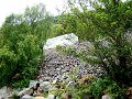 DSC00455