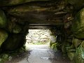 DSC00567