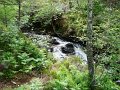DSC00576