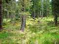 DSC00593