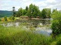 DSC00595