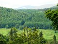 DSC00600