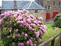 DSC00657