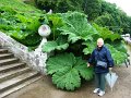 DSC00711
