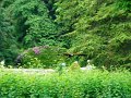 DSC00721