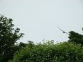 DSC00739