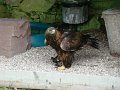 DSC00753