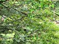 DSC00768