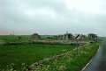 DSC00784
