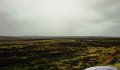 DSC00793