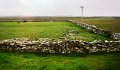 DSC00920