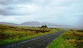 DSC00924