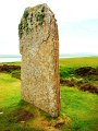 DSC01035