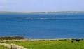 DSC01056