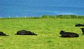 DSC01057