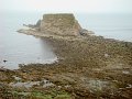 DSC02498