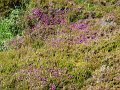 DSC02566