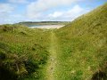 DSC02584