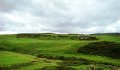 DSC02616