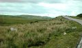 DSC02620
