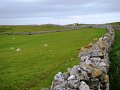 DSC02769
