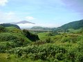DSC03015