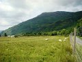 DSC03084