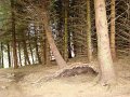 DSC03160