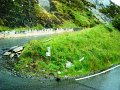 DSC03218