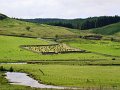 DSC03335