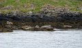 DSC03395